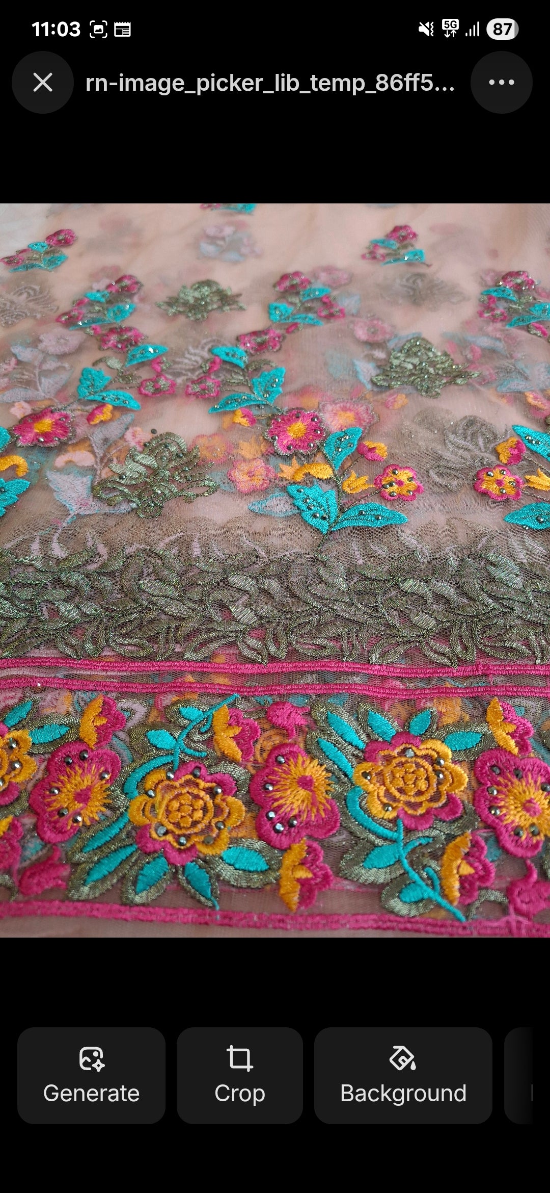 Embroidered lace net,2 meters