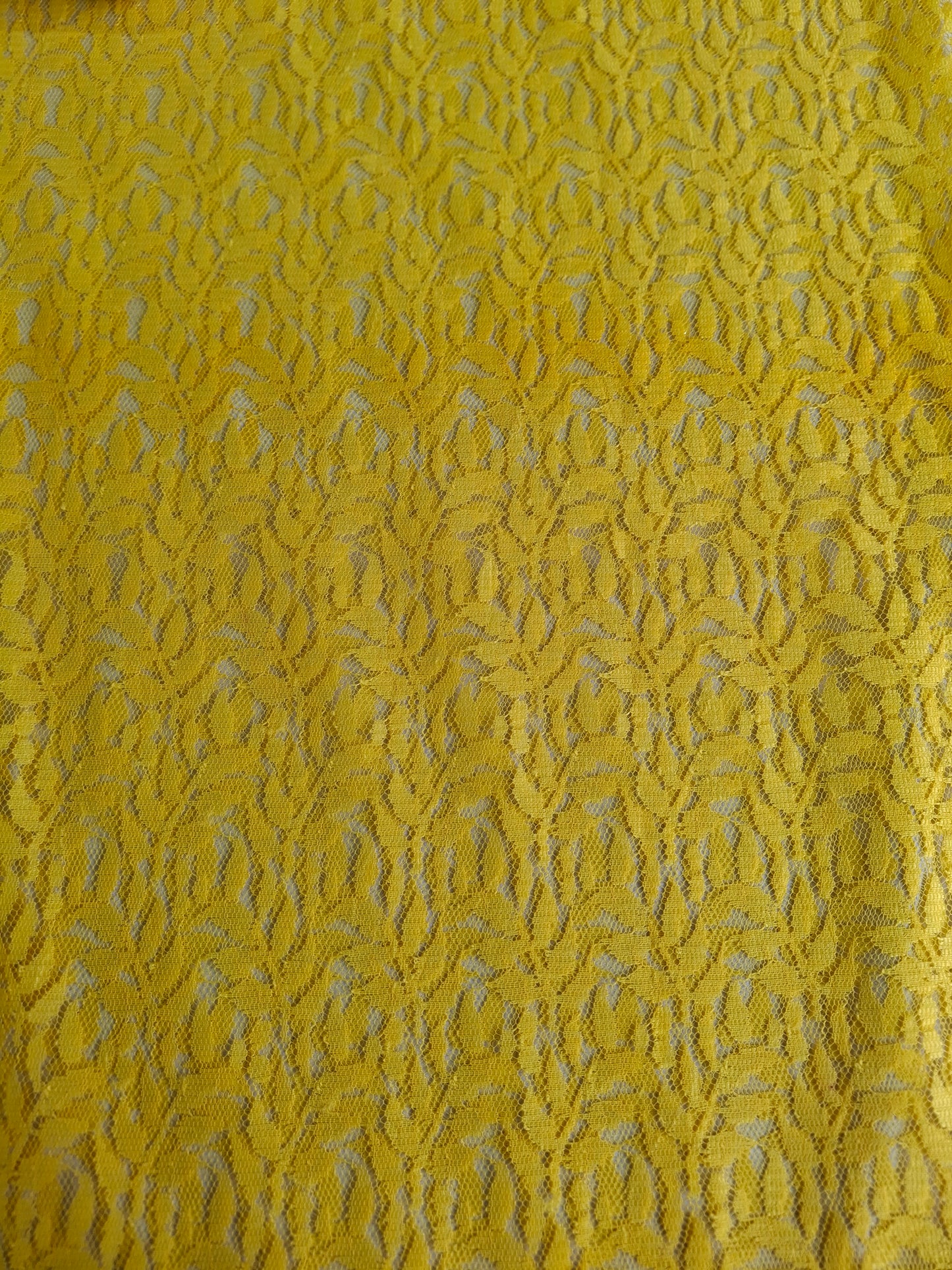 Soft Net Lace Dupatta(4 colour collection)