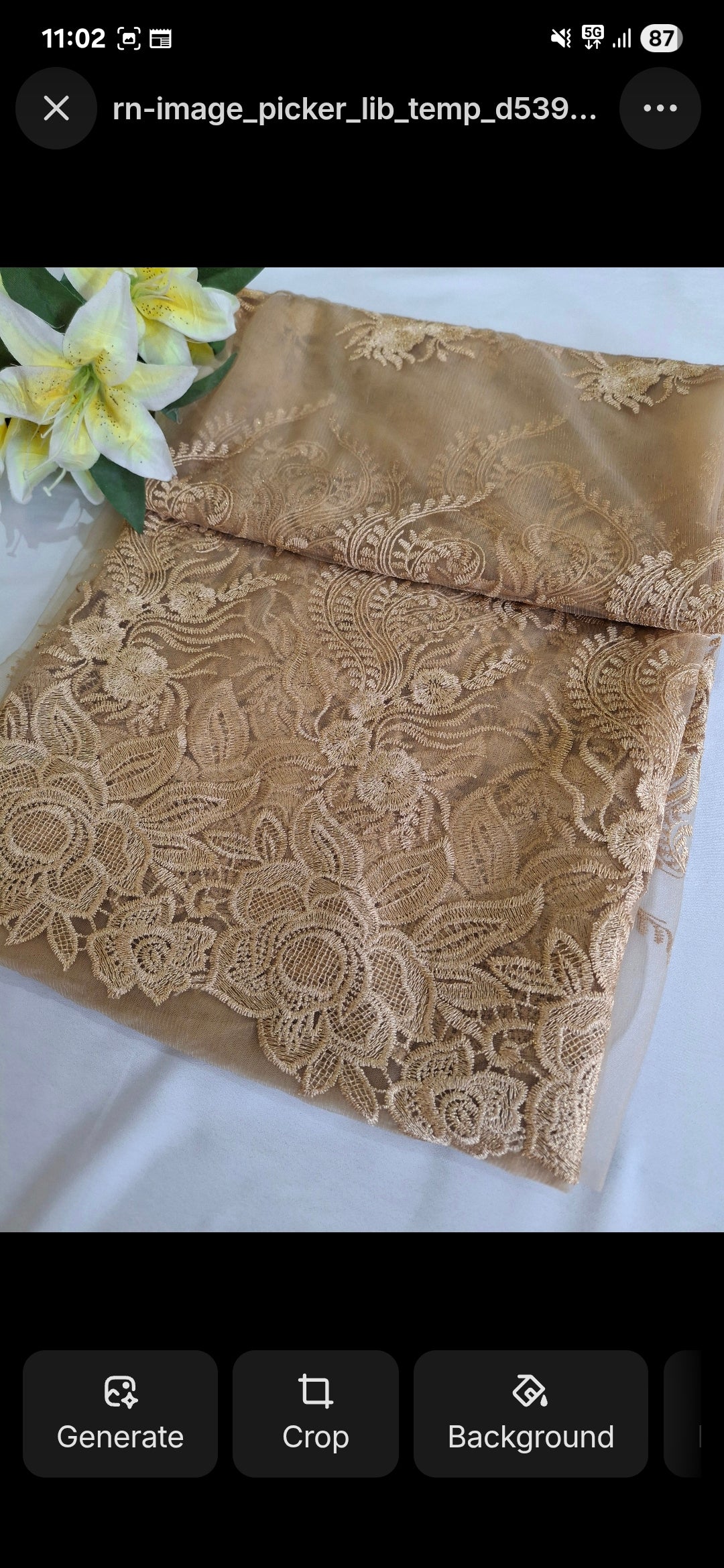 Embroidered lace net,2 meters